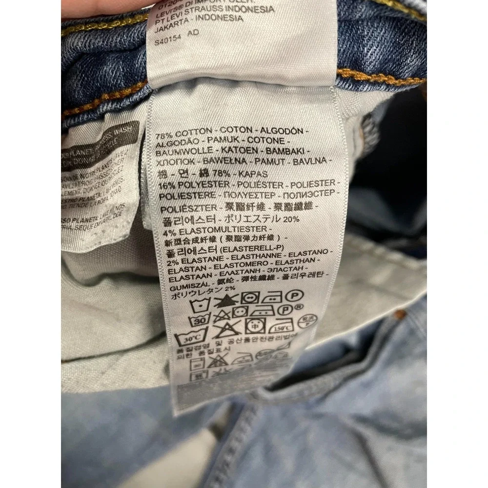 Levis levis 527